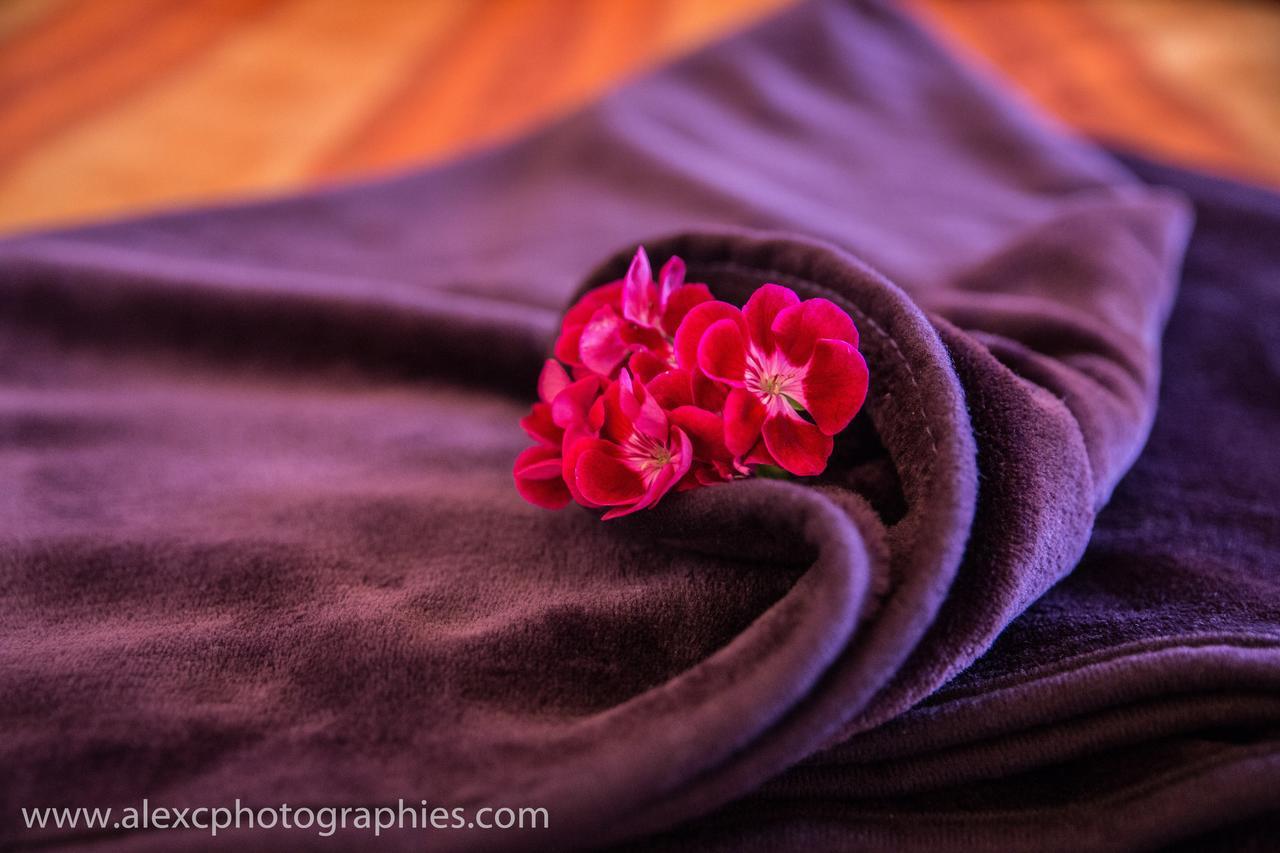 Bed and Breakfast Domaine De La Rocque Liorac-sur-Louyre Екстер'єр фото